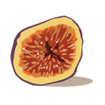 fig